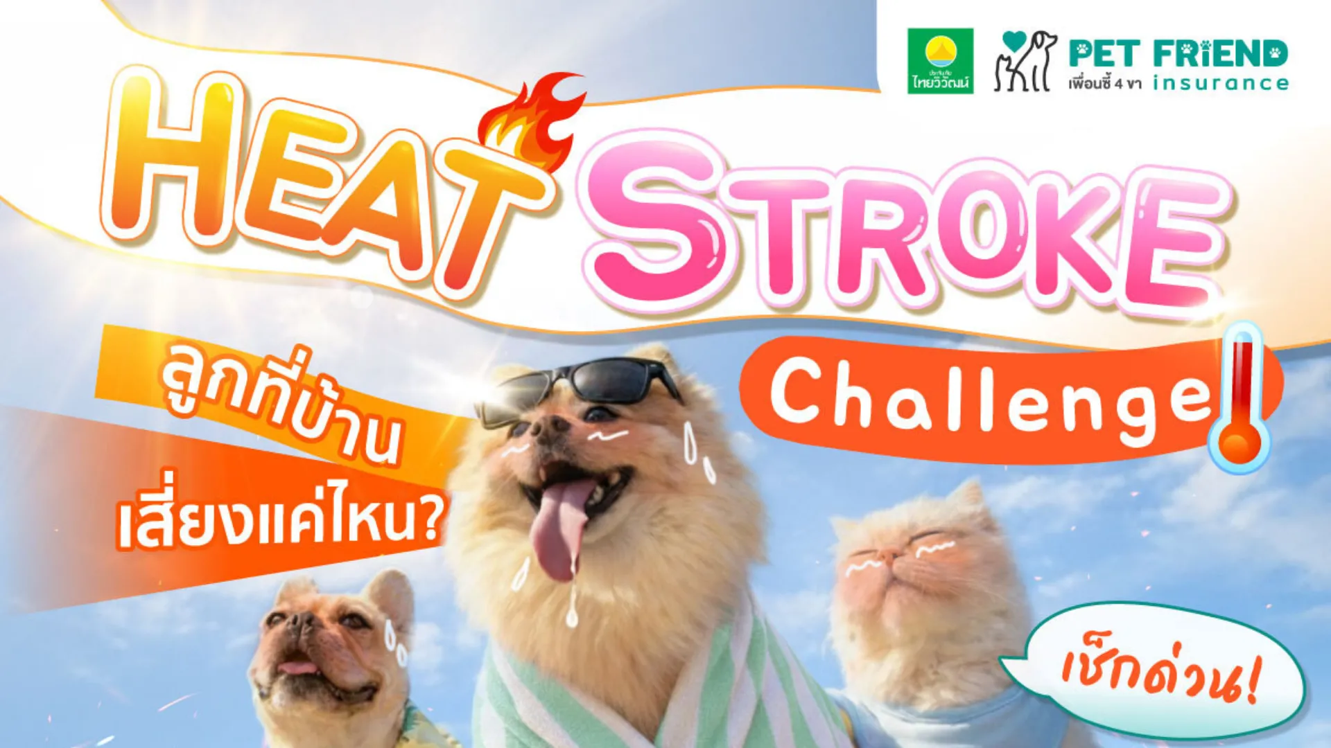 เช็กความเสี่ยง Heat Stroke ในสุนัขและแมว พร้อมวิธีปฐมพยาบาล