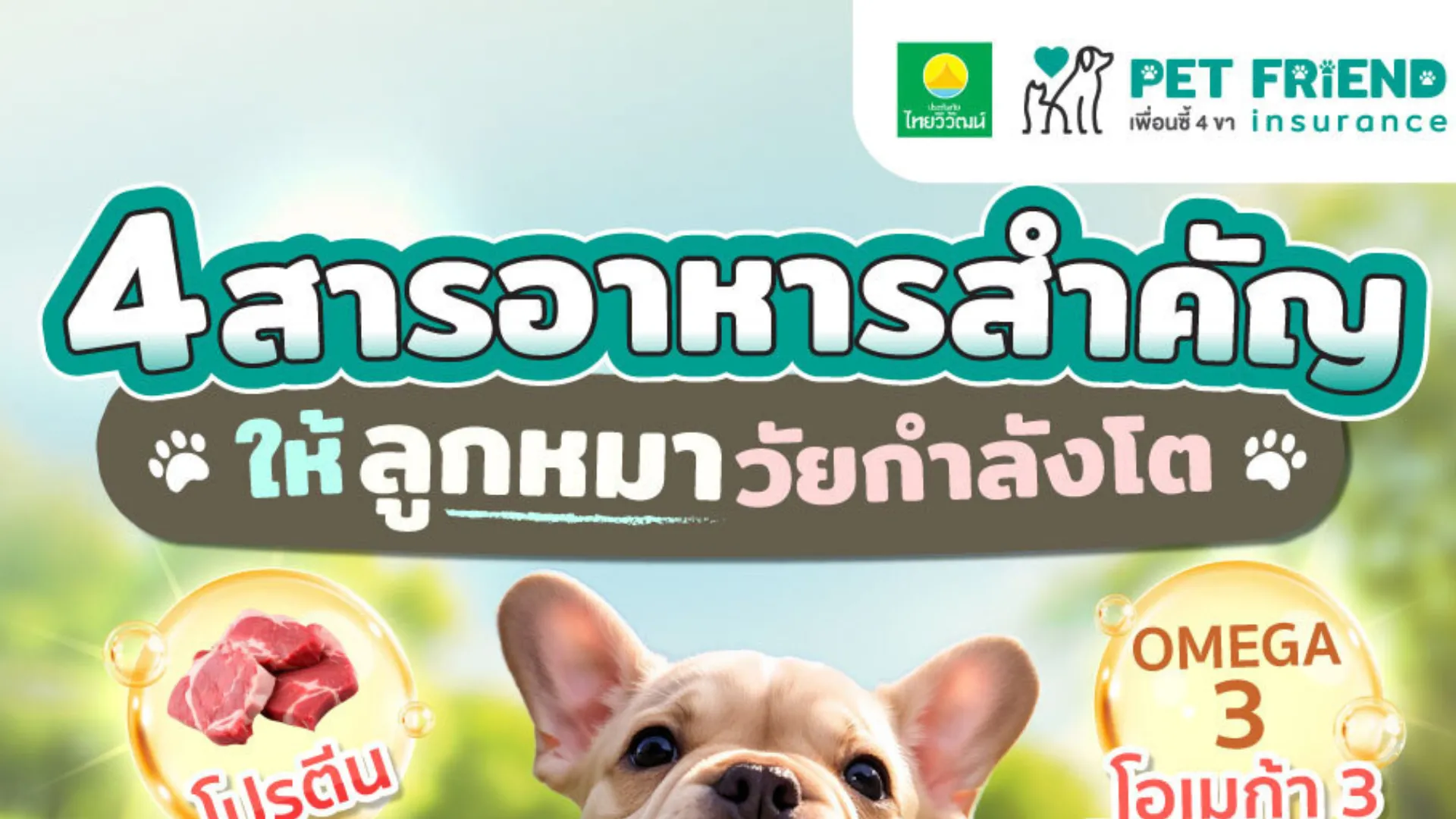 4 สารอาหารสำคัญของลูกสุนัข เลี้ยงวัยกำลังโตให้แข็งแรง