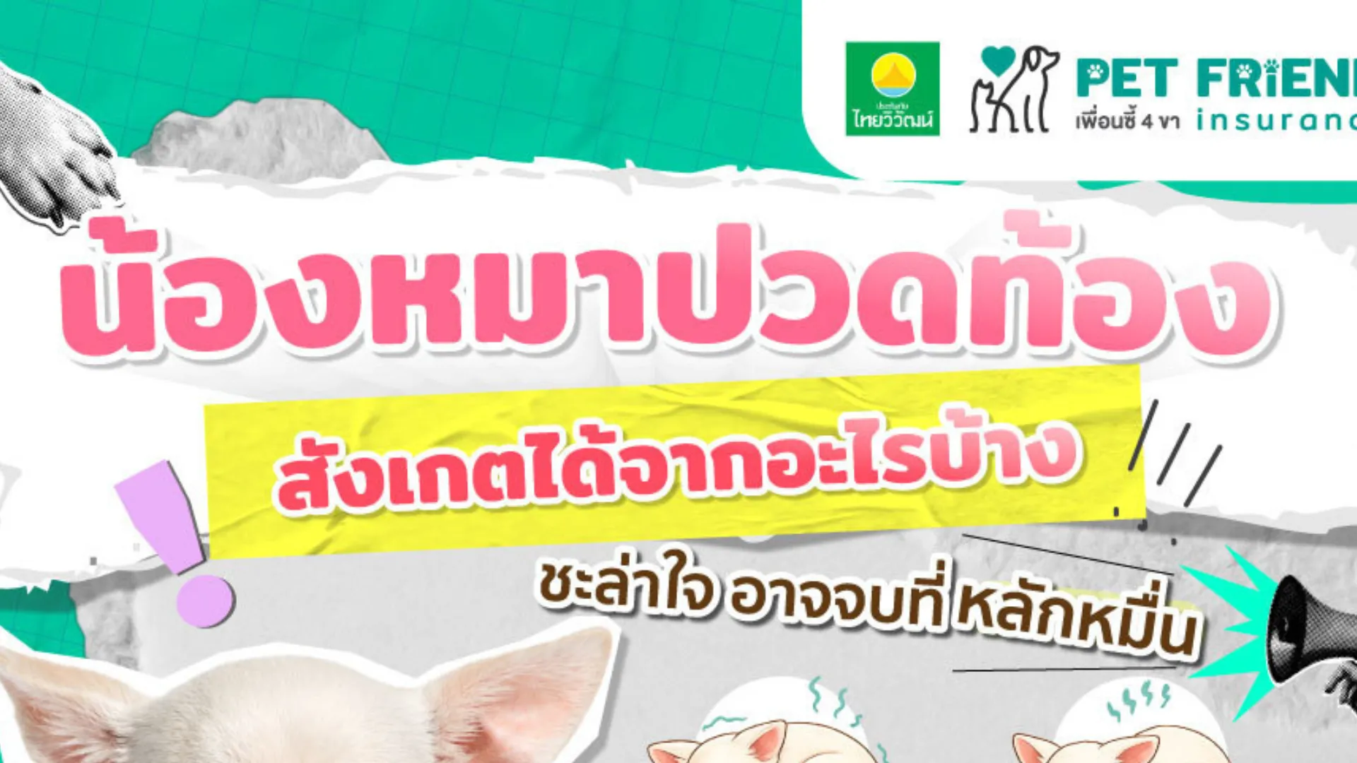 สุนัขปวดท้องดูอย่างไร? อาการเตือนและเวลาที่ควรพบสัตวแพทย์