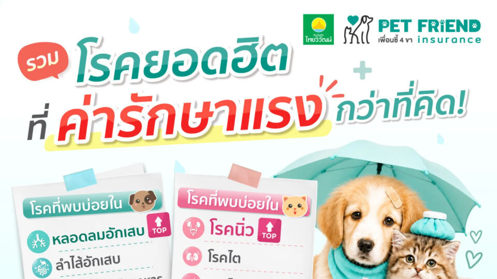 6 โรคยอดฮิตในสุนัขและแมวที่อาจมีค่ารักษาสูง