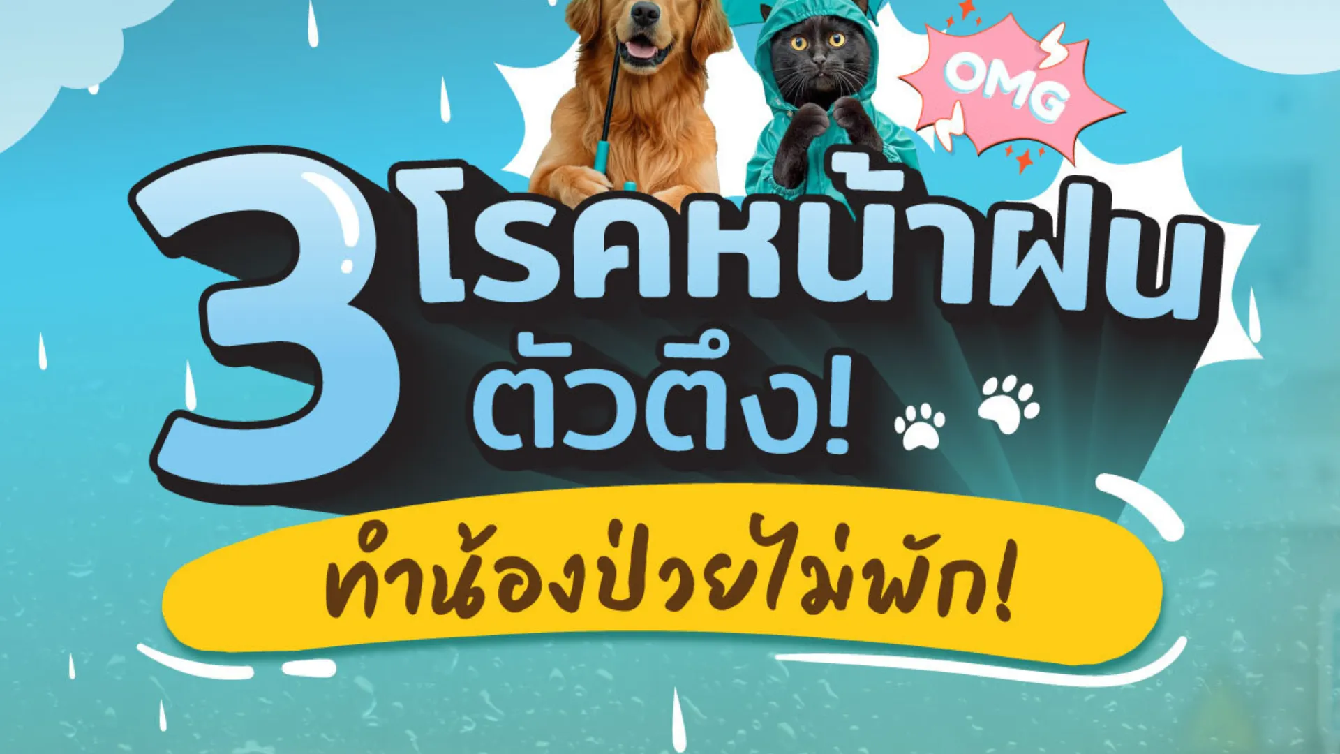 3 โรคสัตว์เลี้ยงหน้าฝนที่ต้องระวัง พร้อมวิธีป้องกัน