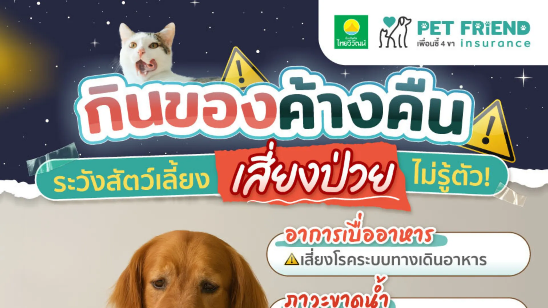 อาหารค้างคืนอันตรายต่อสุนัขและแมวอย่างไร? เก็บและให้อาหารแบบปลอดภัย