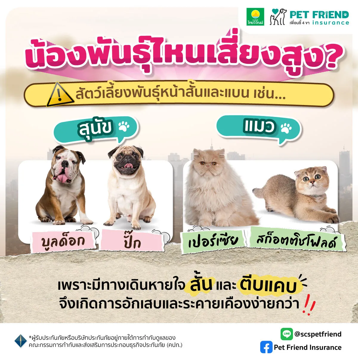 สัตว์เลี้ยงกลุ่มเสี่ยงจากฝุ่น PM2.5