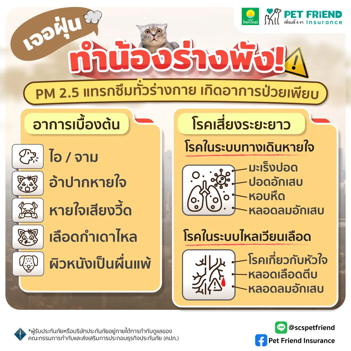 อาการของสัตว์เลี้ยงที่ควรสังเกตในช่วงฝุ่นสูง