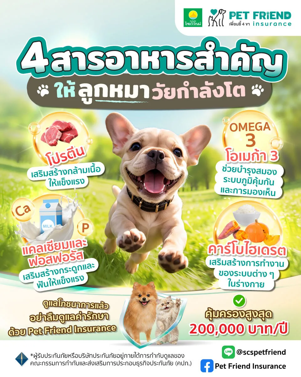 โภชนาการลูกสุนัข