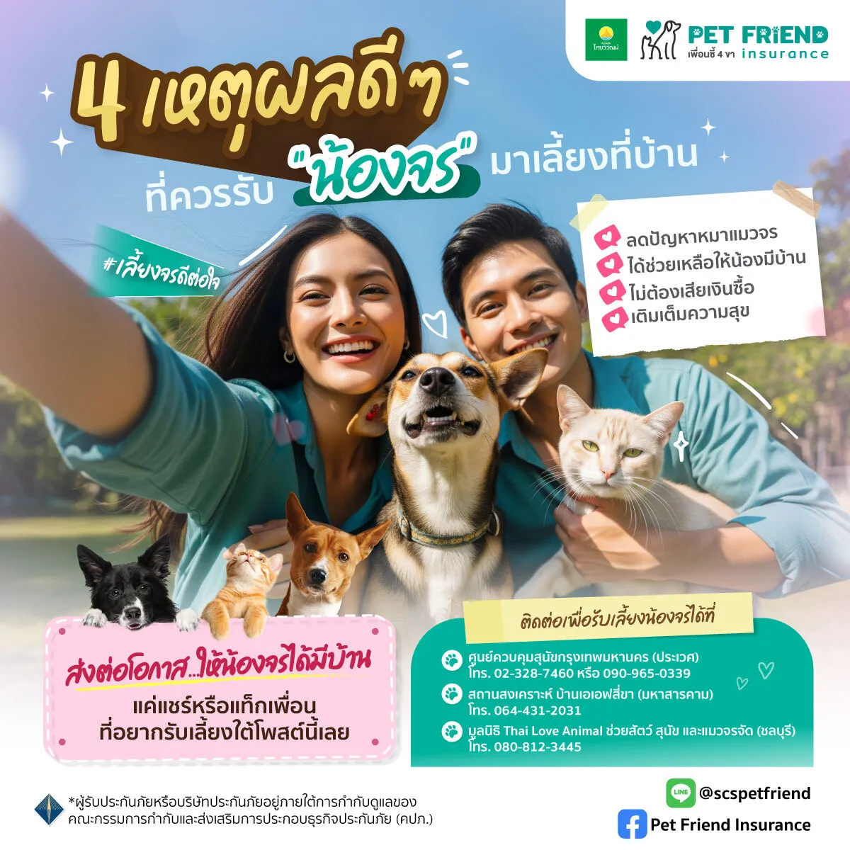 การรับสัตว์จรมาเลี้ยง