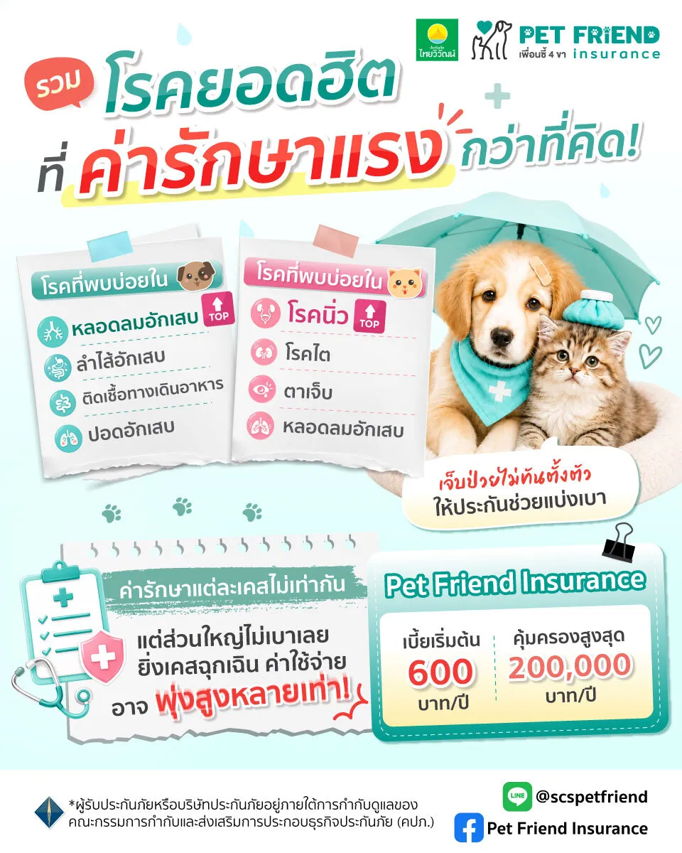 โรคยอดฮิตในสุนัขและแมว