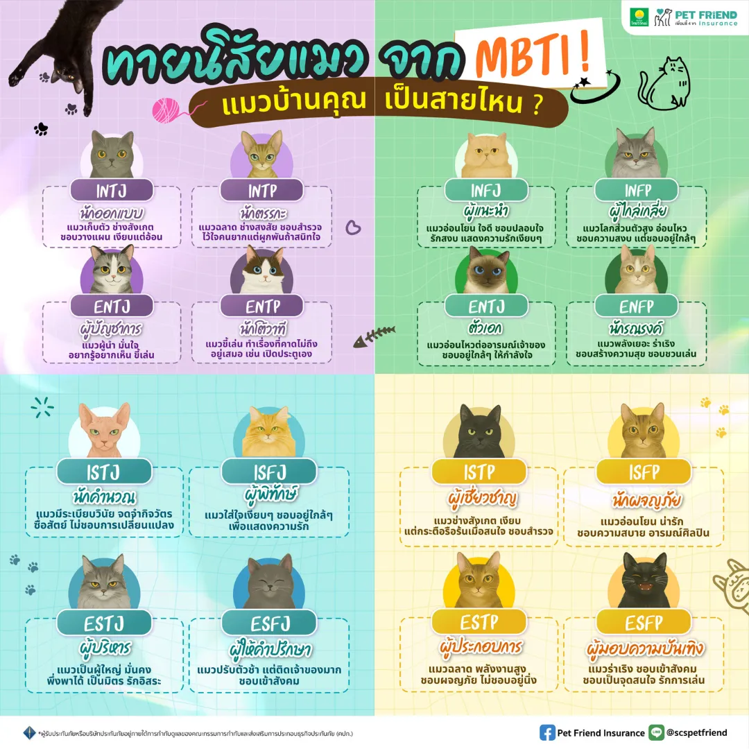 ทายนิสัยแมวจาก 16 บุคลิกภาพ MBTI