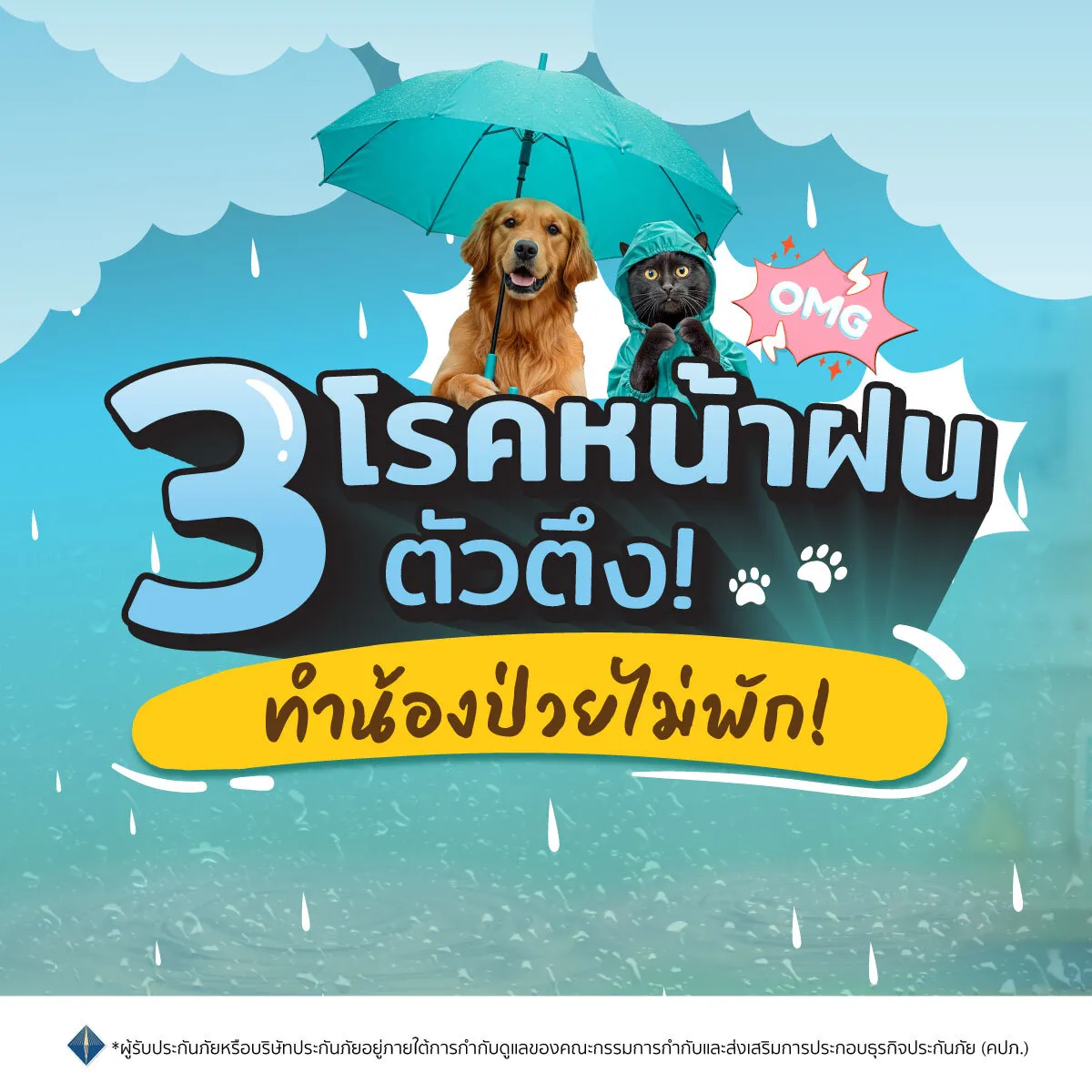 โรคหน้าฝนที่พบบ่อยในสัตว์เลี้ยง