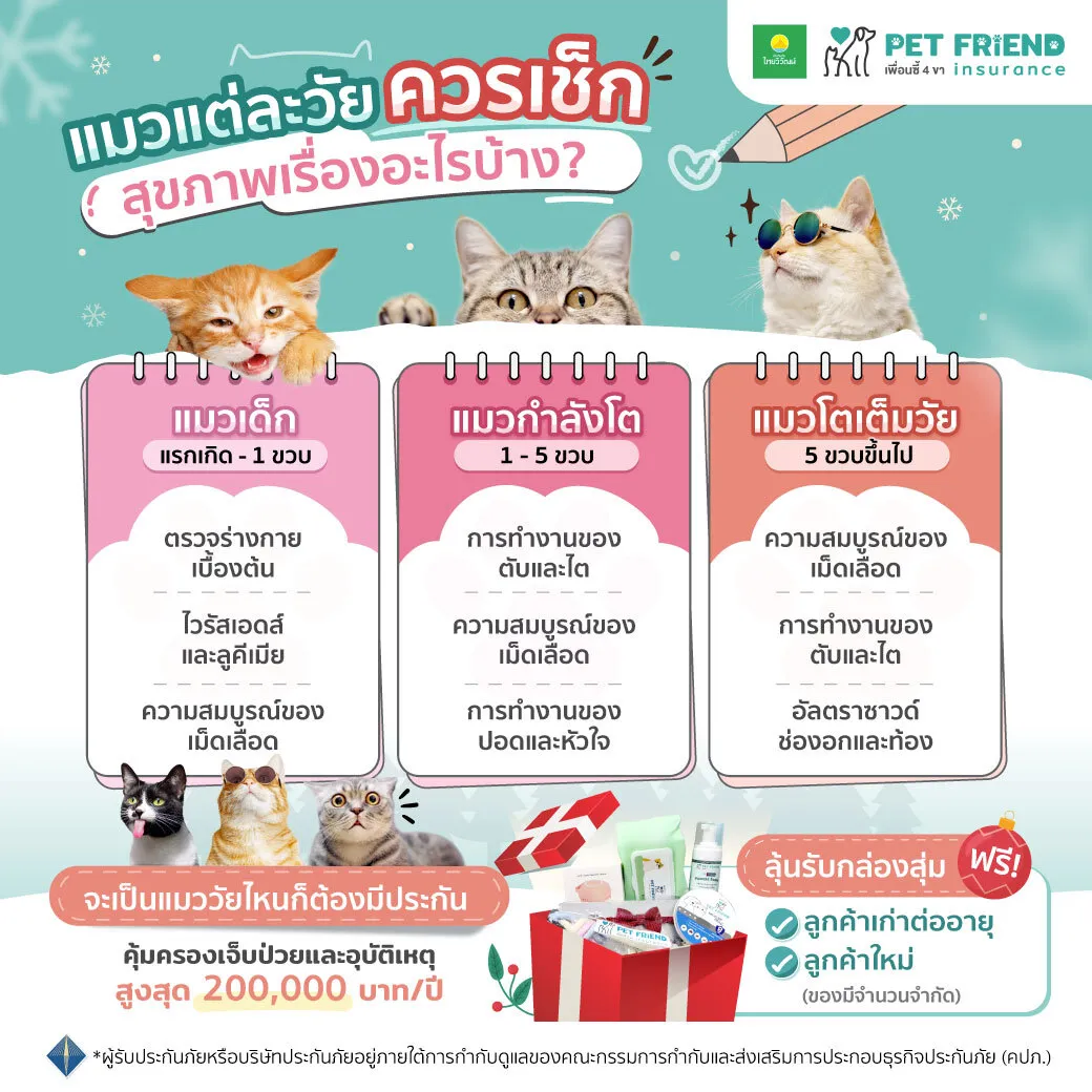 เช็กลิสต์สุขภาพแมวตามช่วงวัย