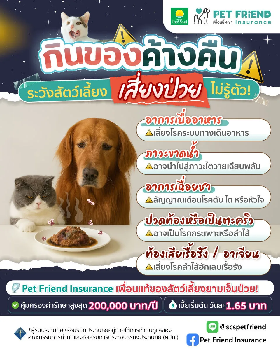 ความเสี่ยงจากอาหารค้างคืนสำหรับสัตว์เลี้ยง