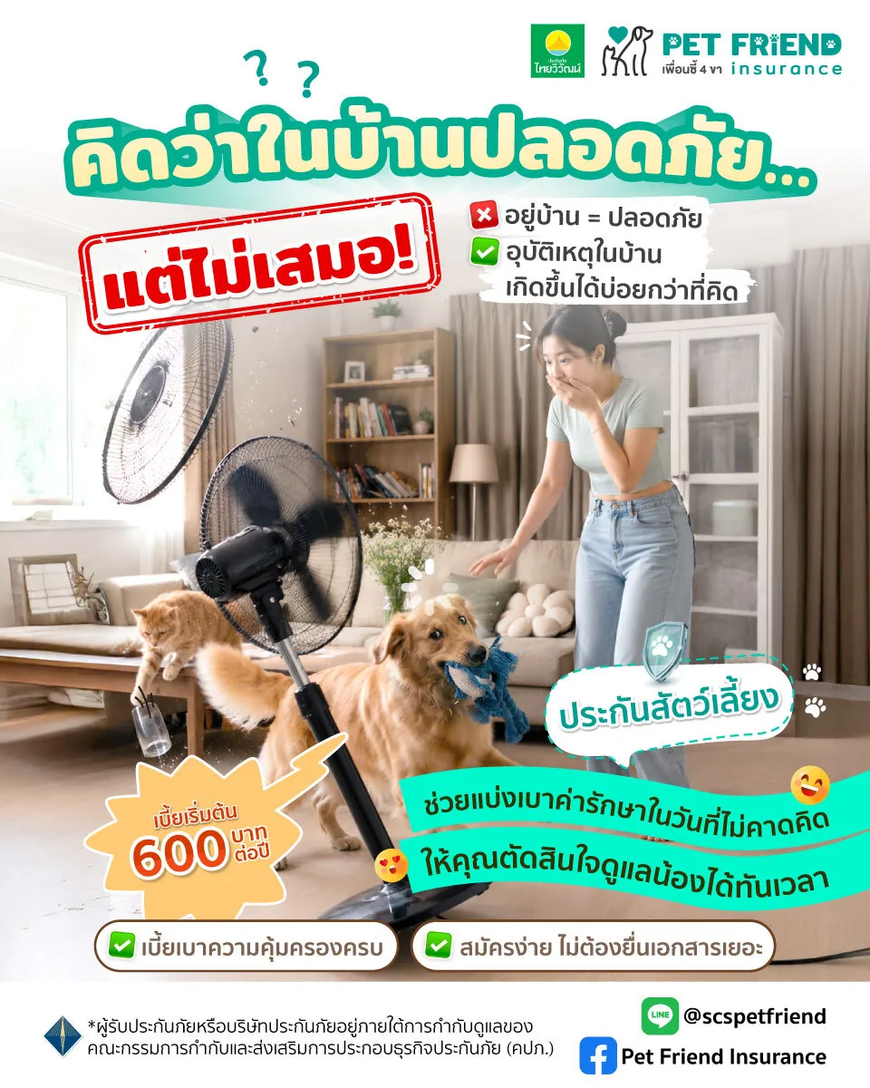 เช็กลิสต์ความปลอดภัยในบ้านสำหรับสัตว์เลี้ยง